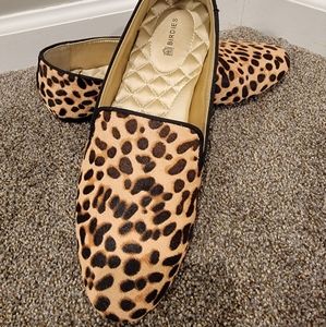 Birdies the starling flat in leopard EEUC